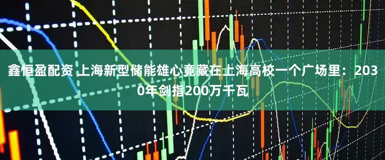 鑫恒盈配资 上海新型储能雄心竟藏在上海高校一个广场里：2030年剑指200万千瓦